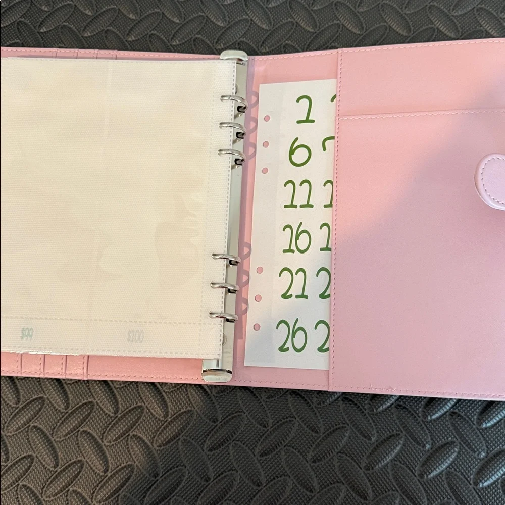 Pink Savings Challenge Envelope Organizer